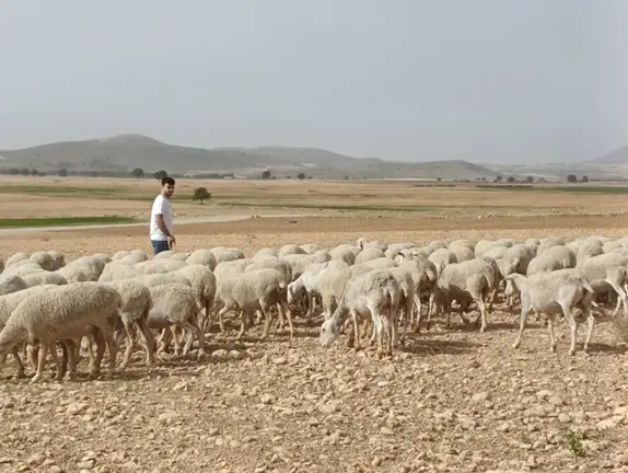 ARCHIVO Pastor en Caravaca de la Cruz