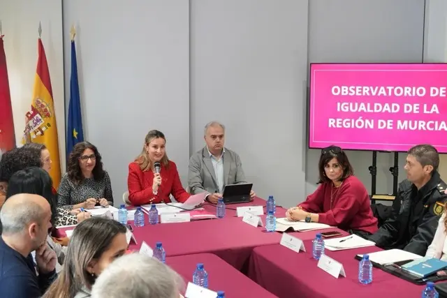 20251121 PLENO OBSERVATORIO IGUALDAD