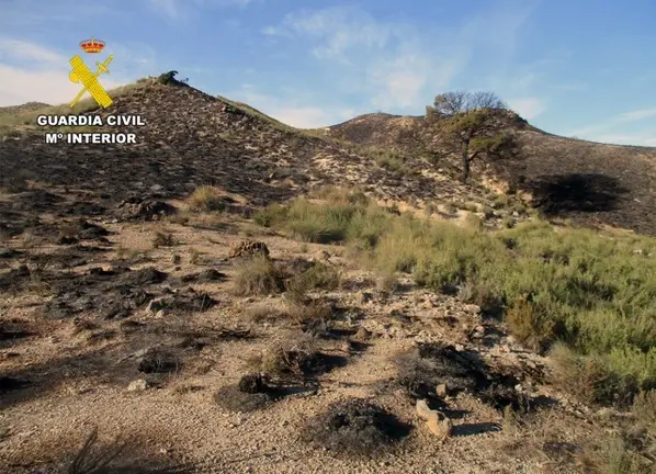 20251224 INVESTIGADO INCENDIO FORESTAL ZARCILLA PPN LORCA