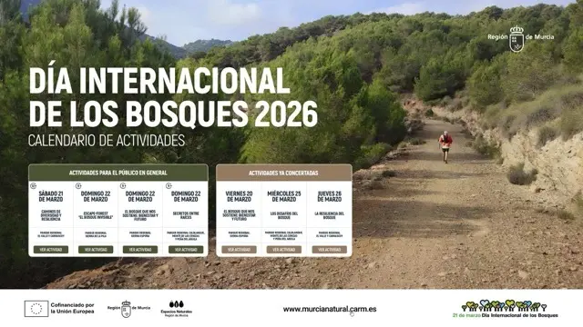 Actividades Día de los Bosques