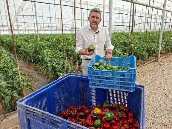 Antonio Luengo invernadero