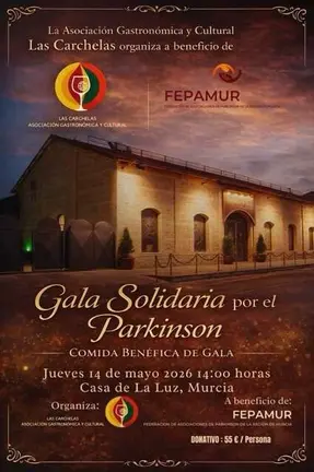 Cartel I &lsquo;Gala Solidaria por el Parkinson&rsquo;
