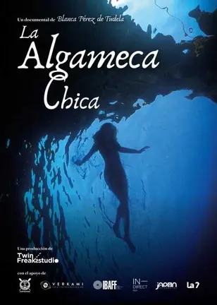 CARTEL OFICIAL LA ALGAMECA CHICA