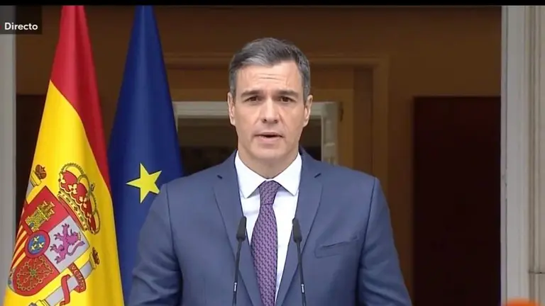 Pedro S&aacute;nchez