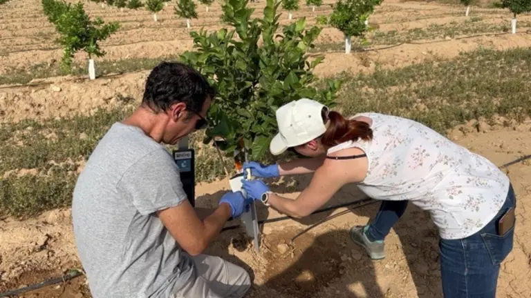 EQUIPO PROYECTO NITRO-CONTROL