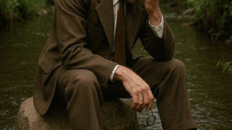 Una piedra en el arroyo