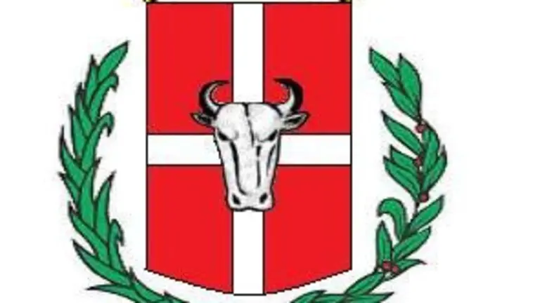 logo orgullo cartaginense