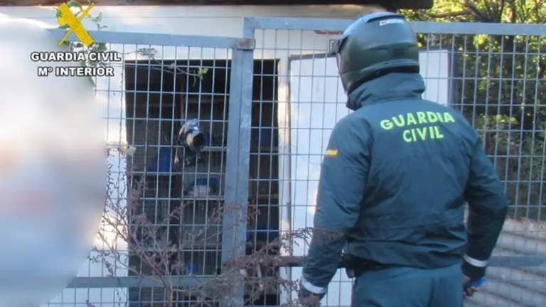 20251221 INVESTIGADO ABANDONO ANIMAL PALOMOS DEPORTIVOS MURCIA SPN