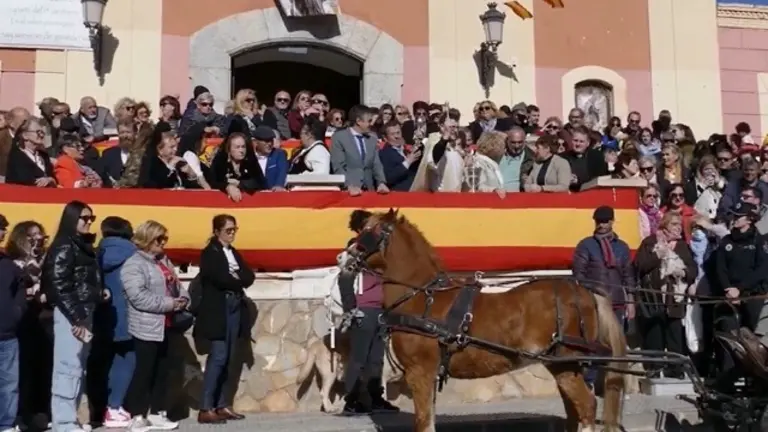 Bendición animales fiestas San Antón