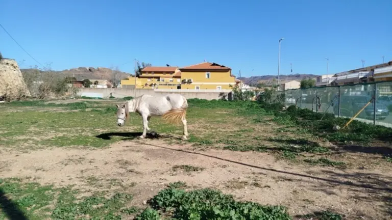 Foto Solar futuro consultorio de Alumbres