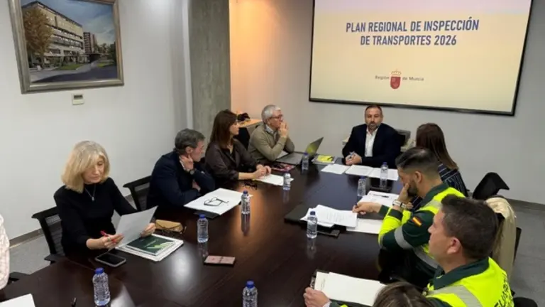 Verdú Plan regional inspecciones transporte