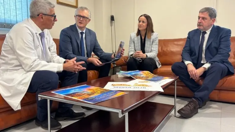 Presentación Sedisa 2028