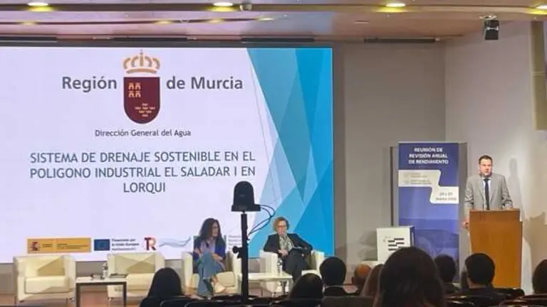 Revisión anual rendimiento