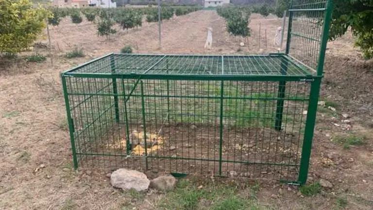 Adquisición de jaulas jabalíes