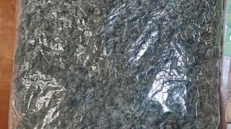 Foto archivo bolsa marihuana