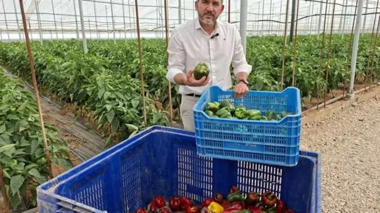 Antonio Luengo invernadero