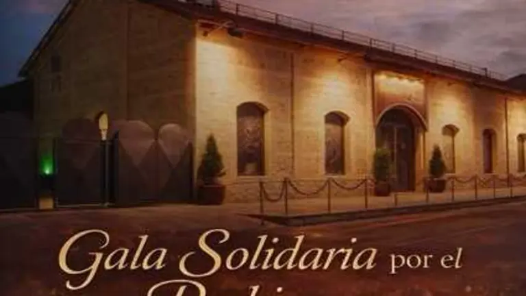 Cartel I &lsquo;Gala Solidaria por el Parkinson&rsquo;