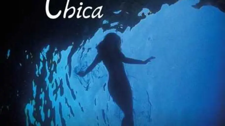 CARTEL OFICIAL LA ALGAMECA CHICA