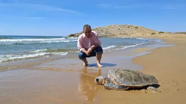 Liberación Tortuga