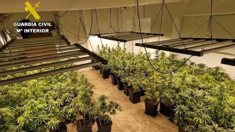 20260612 OP ABANOSKA TRAFICO DROGA MARIHUANA ARCHENA