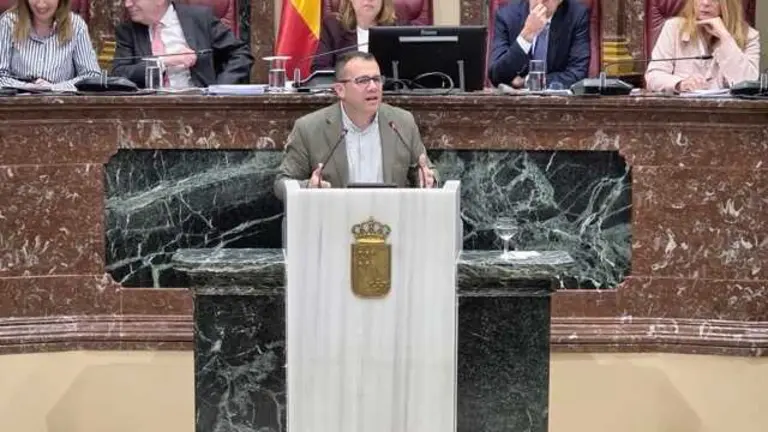 FERNANDO MORENO PLENO