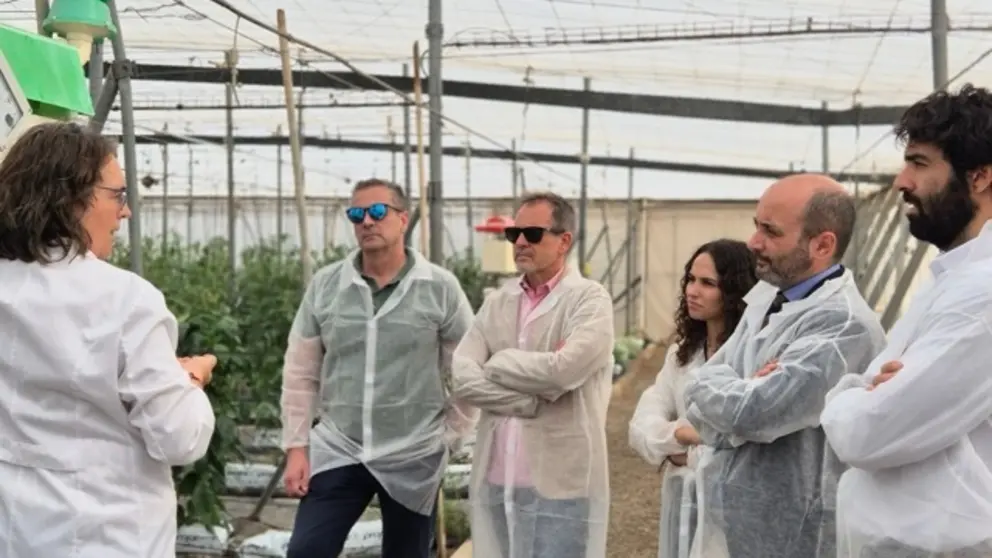 Director Info y startups en Las Palmerillas, Grupo Cajamar