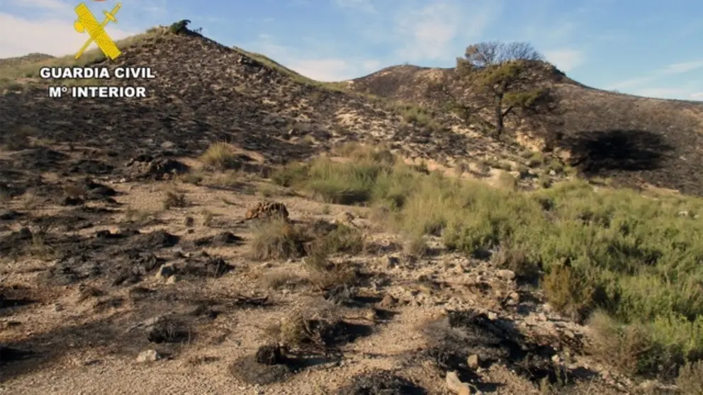 20251224 INVESTIGADO INCENDIO FORESTAL ZARCILLA PPN LORCA