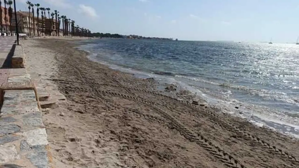 Estado Playas Los Alcázares