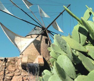 molino en el algar