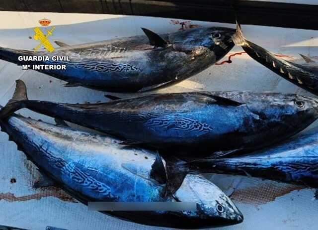 20260716 INCAUTACION PESCADO EL GORGUEL CARAGENA SMP